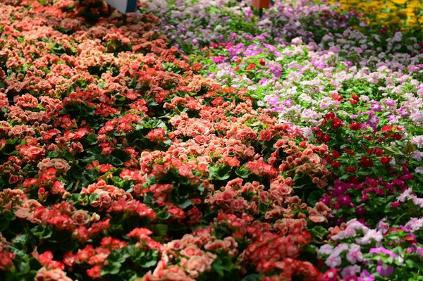 Personnaliser son alarme piscine : options et accessoires